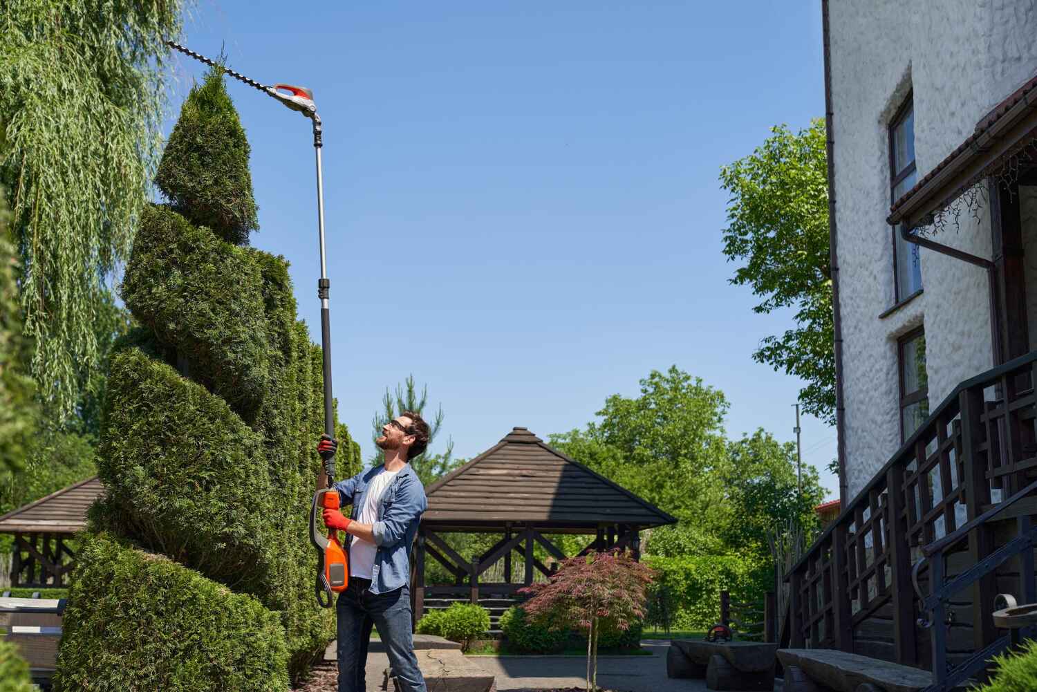 Best Tree Care Services  in USA